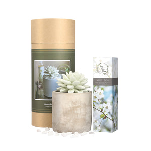 Succulent Planter Diffuser Gift Set Combo White Musk 200ml