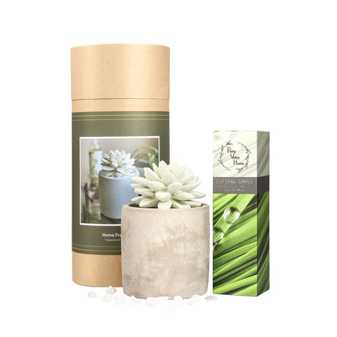 Succulent Planter Diffuser Gift Set Combo Gutting Grass 200ml