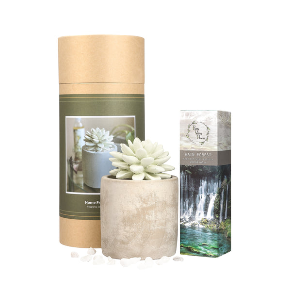 Succulent Planter Diffuser Gift Set Combo Rain Forest 200ml