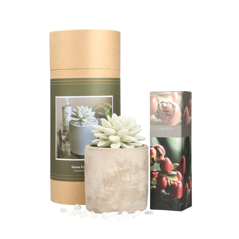 Succulent Planter Diffuser Gift Set Combo Pink Berry 200ml