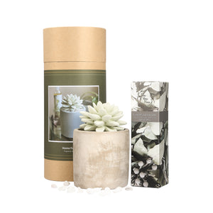 Succulent Planter Diffuser Gift Set Combo Eucalyptus & Pine Cone 200ml