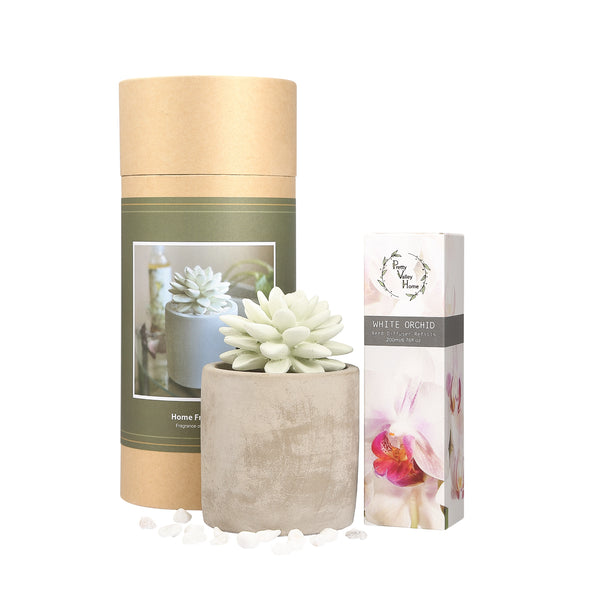 Succulent Planter Diffuser Gift Set Combo White Orchid 200ml