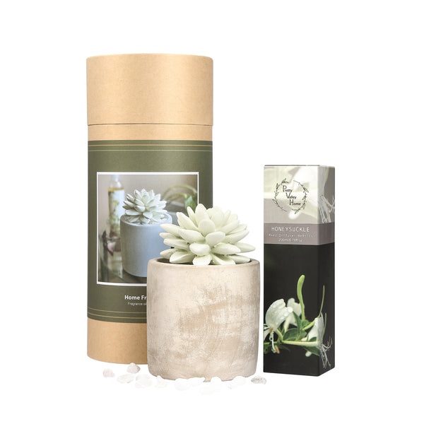 Succulent Planter Diffuser Gift Set Combo Honeysuckle 200ml