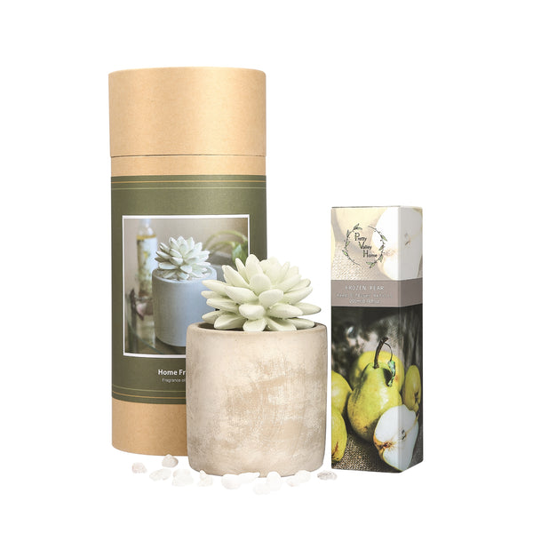 Succulent Planter Diffuser Gift Set Combo Frozen Pear 200ml