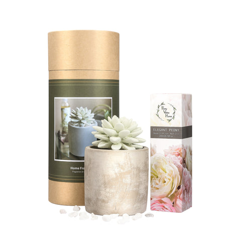 Succulent Planter Diffuser Gift Set Combo Elegant Peony 200ml