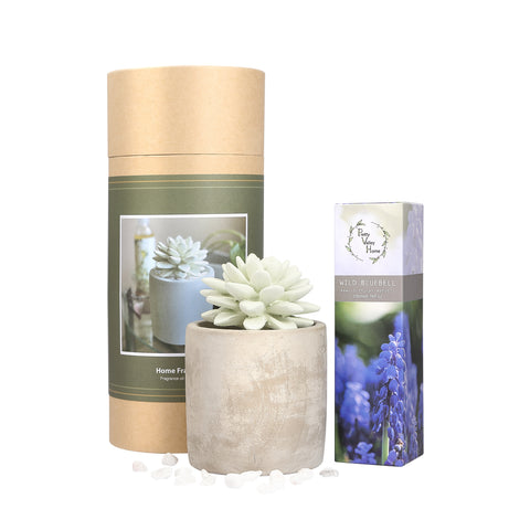 Succulent Planter Diffuser Gift Set Combo Wild Bluebell 200ml