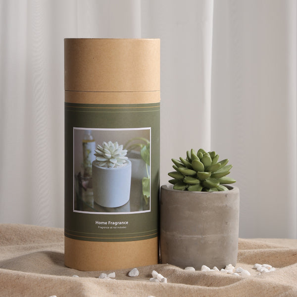 Succulent Planter Diffuser Gift Set Combo Rain Forest 200ml