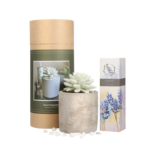 Succulent Planter Diffuser Gift Set Combo Lavender 200ml