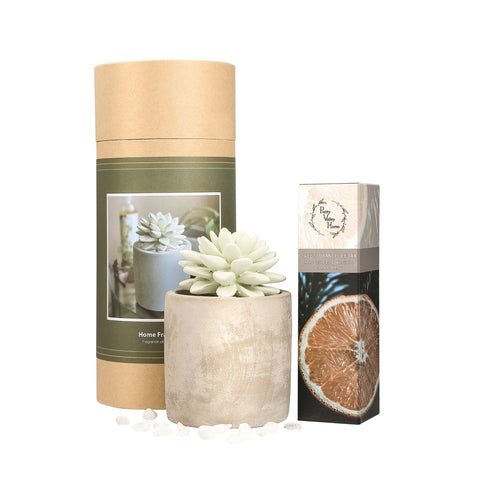 Succulent Planter Diffuser Gift Set Combo Sweet Orange Cedar 200ml