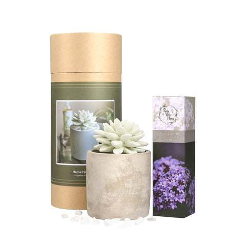 Succulent Planter Diffuser Gift Set Combo Citrus Verbena 200ml